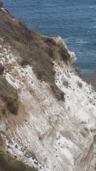 Photos of playa solitaria