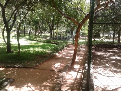 Photos of Gajaba Zoo