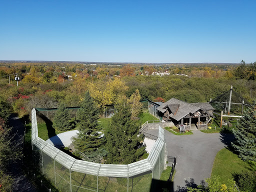 Zoo New York - Thumbnail