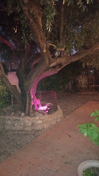 Photo n°24 de Restaurant Al Casot MILLAS à Millas (Pizzeria)