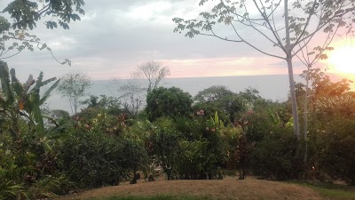 Photos of Talanguera Bar & Restaurant