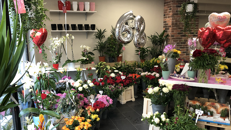 Blumen Rose de la vie Düsseldorf