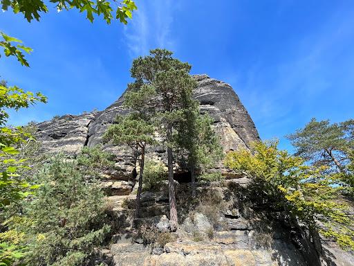 Rauschenstein - Visual