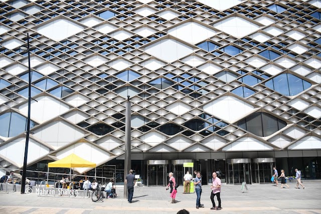 Université de Sheffield