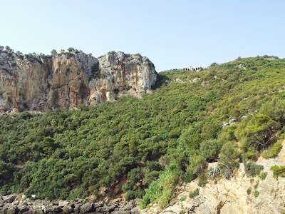 Photos of IPA Yemma Gouraya calcareous cliffs