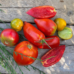 Photo n°11 de Jardins-maraîchers de La Magodière à Orvault (Ferme)