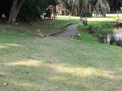 Photos of Japanese Gardens
