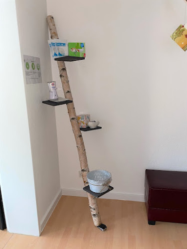 Perspekto Coaching GmbH