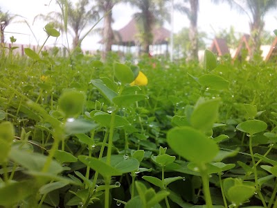 Photos of Pondok Permai Giwangan
