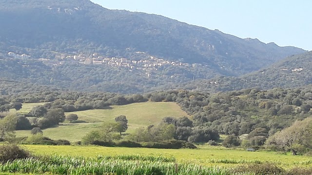 Source Thermale de Baracci