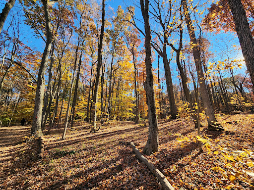 Washington Valley Park - Thumbnail