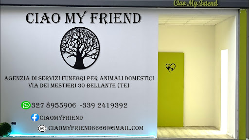 Ciao My Friend - Thumbnail