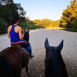 Photo n°3 de Centre équestre du clos d'Enfer à Jonquières (Pension de famille)