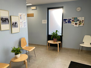 Photo n°2 de Karol LECH à Quéant (Kinésithérapeute)