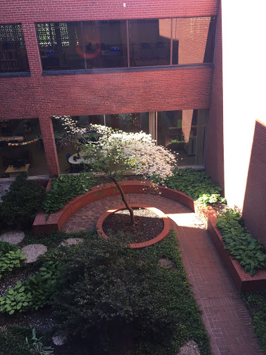 Bennett Martin Public Library - Thumbnail