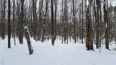 Photos of Bear Swamp State Forest