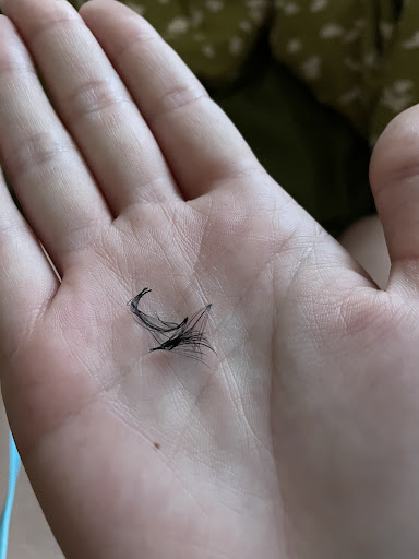 Browco Brow & Lash Bar - Kotara - Thumbnail