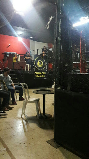 Alphagym - Visual