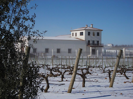 Bodegas y Viñedos Illana S.L.