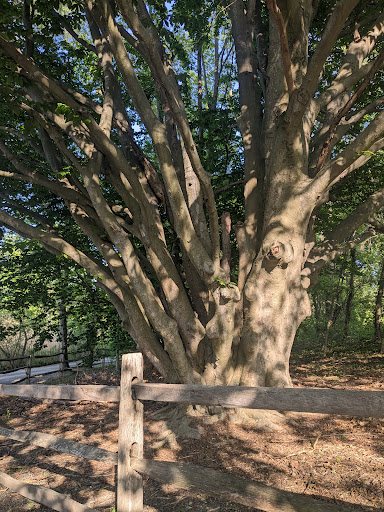 Glen Magna Farms - Thumbnail