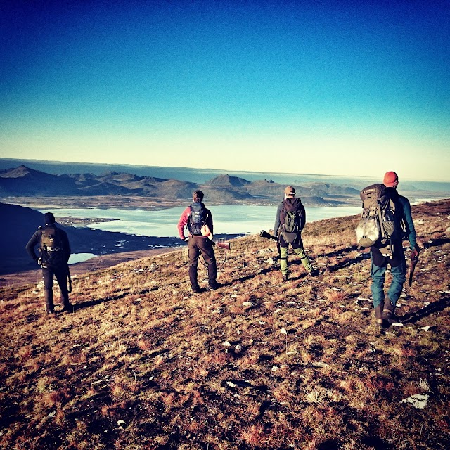 Hinnøya