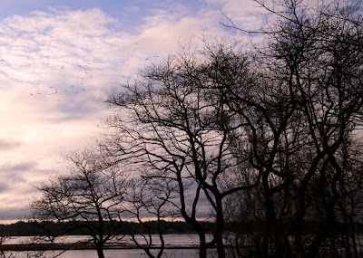 Doug Rayner Wildlife Refuge