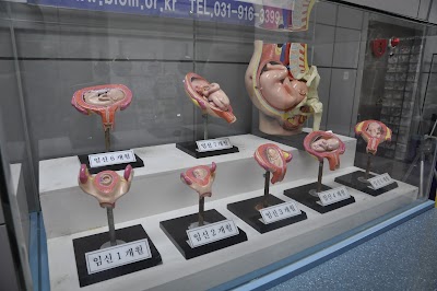 Photos of 인체과학박물관