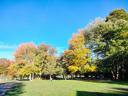 Leary Park - Thumbnail