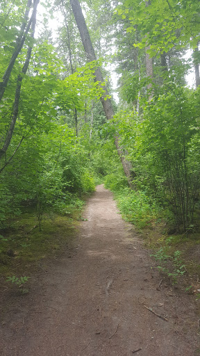 Coyote Park, Salmon Arm , BC - Thumbnail