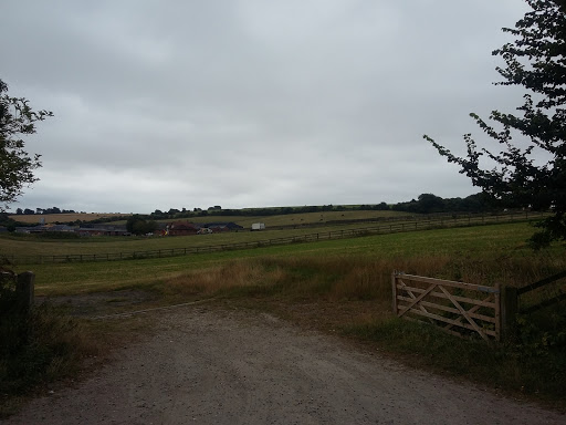 Oakingham Stud - Thumbnail