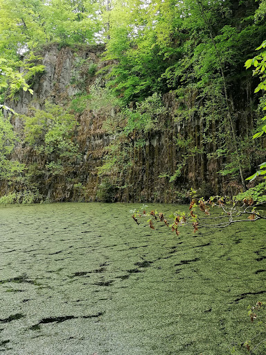 Blauer See - Visual