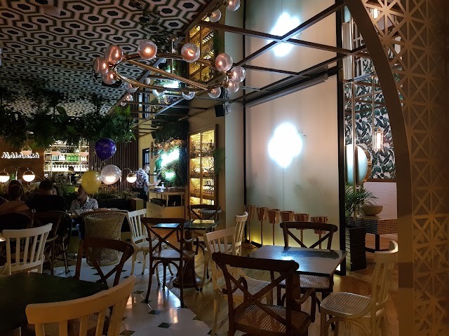 Malanga del Trópico