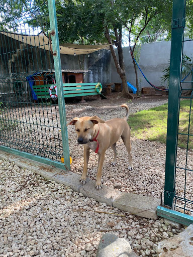 Ruffini´s Home Hostería