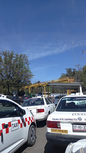 Sitio de taxis "Chapingo" - Thumbnail