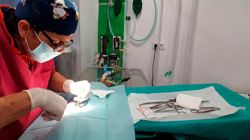 Clínica Veterinaria MaestroVeterinarios