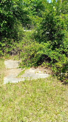 South View Cemetery - Thumbnail