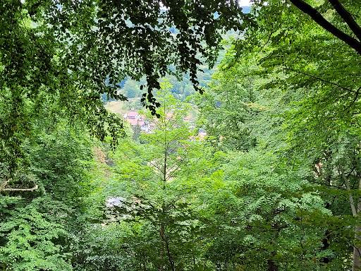 Steinbacher Blick - Visual
