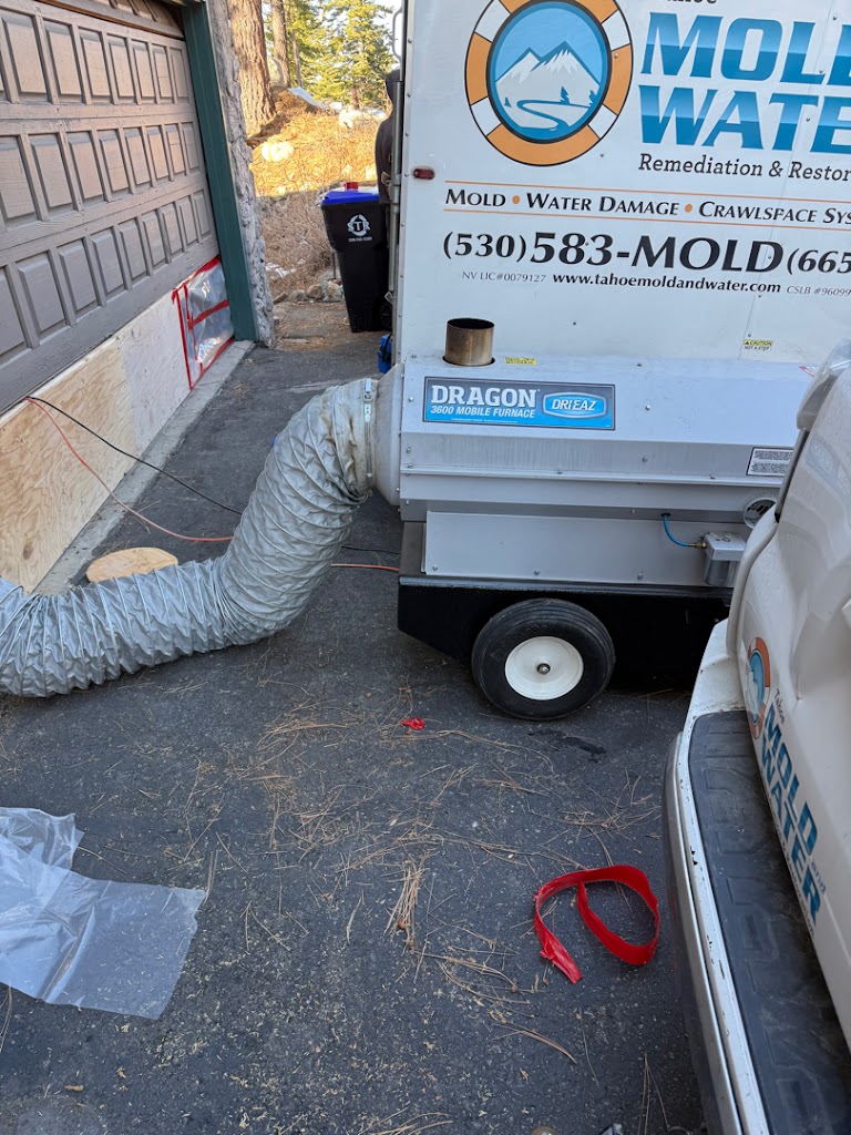 Tahoe Mold and Water photo