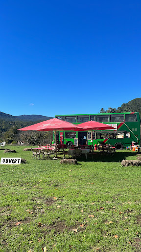 Photo 3 - The Food Bus