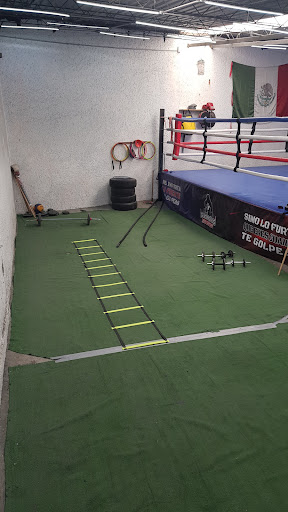 Guerreros Box Center - Thumbnail
