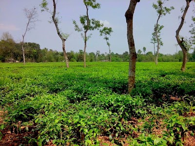 Photos of Khakiachara Temple