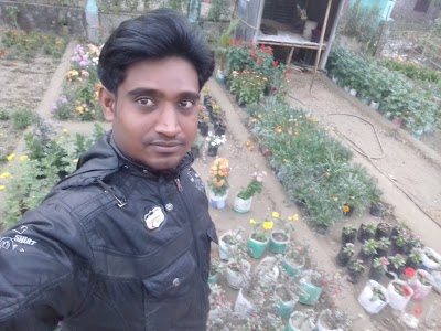 Photos of Murad Nursary Sell Center