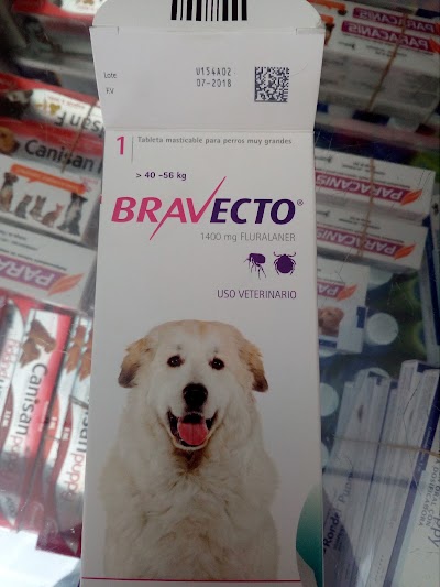 Photos of Clinica veterinaria Animalitos