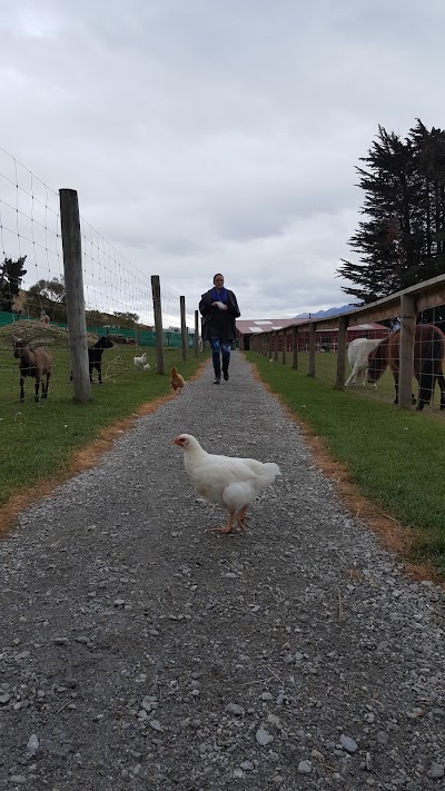 Photos of Glenorchy Animal Experience