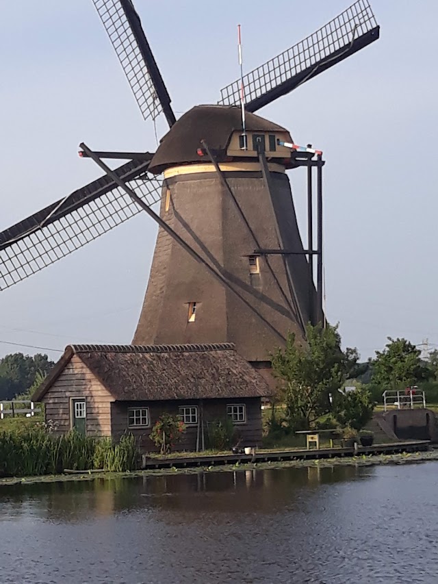 Kinderdijk molens