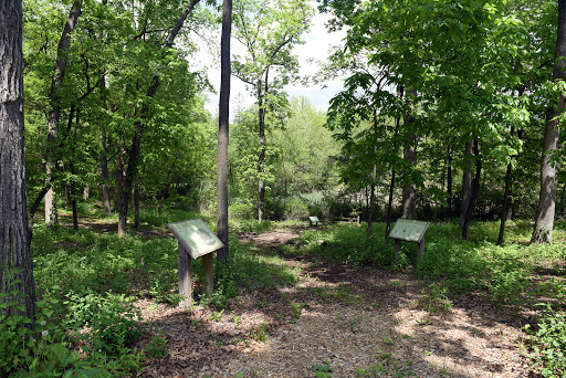 Marquette Woods Park - Thumbnail