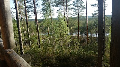 Photos of RMK P&auml;ikeseloojangu metsamaja