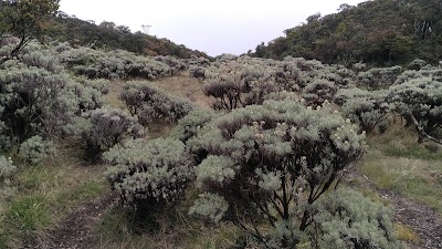 Photos of Gunung Pangrango