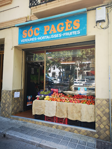 Sóc Pagès - Visual