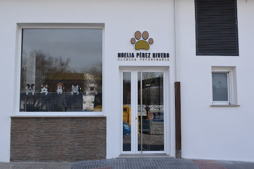 Clínica Veterinaria Noelia Pérez Rivero